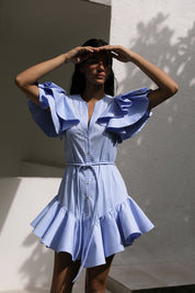 ARBOLADA DRESS IN BLUE STRIPES