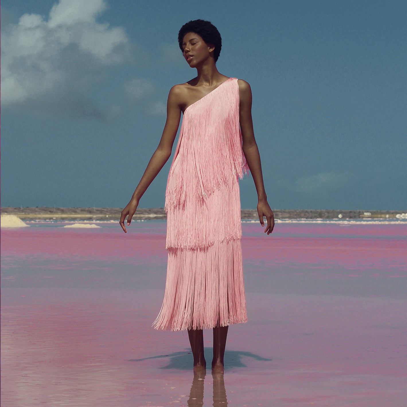 CASCADA DRESS IN PINK - No Pise La Grama Web